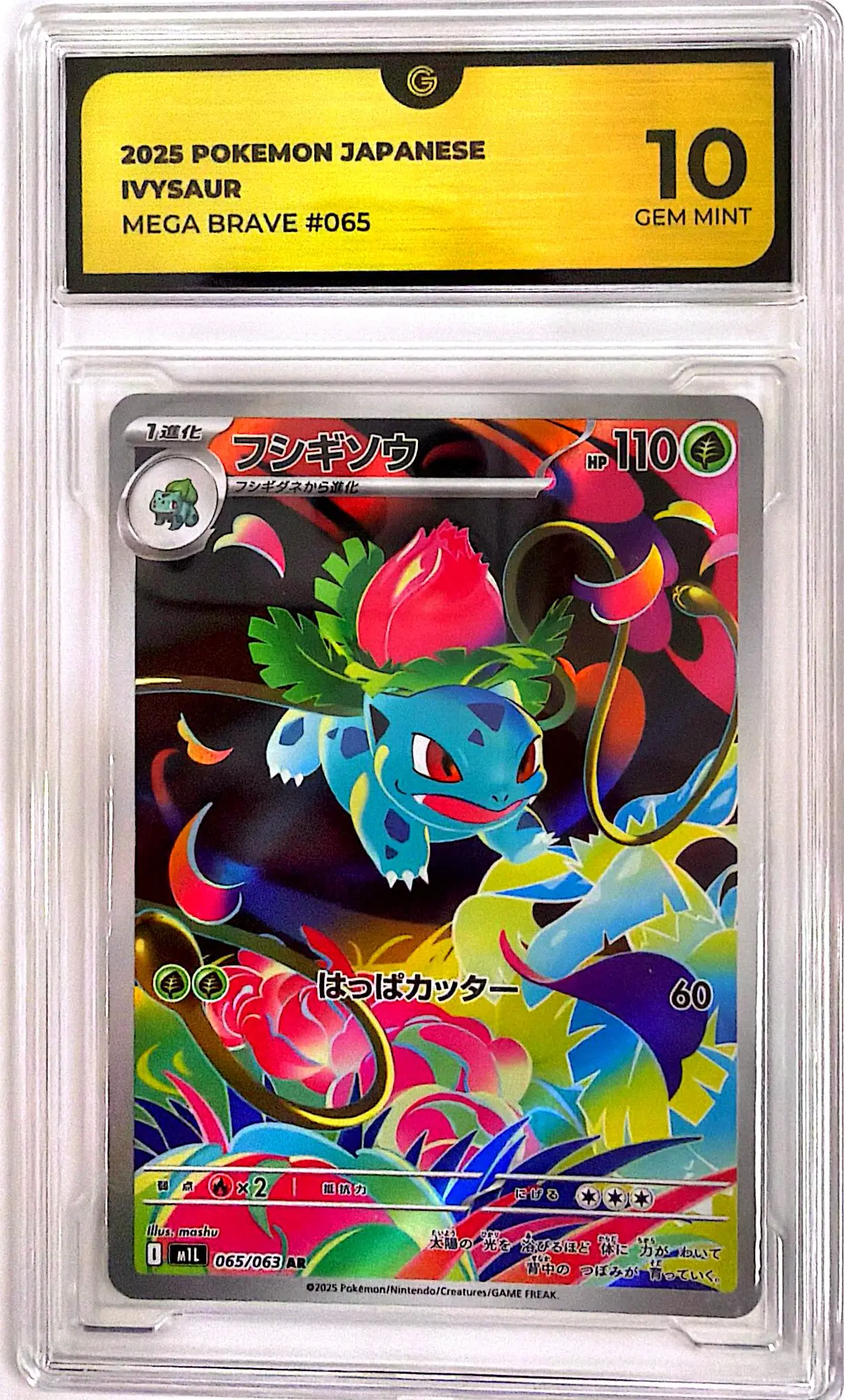 11664-m1l-ja-65-Ivysaur-065-063-Mega-Brave Ivysaur アートレア (065/063) Mega Brave - Afbeelding 1